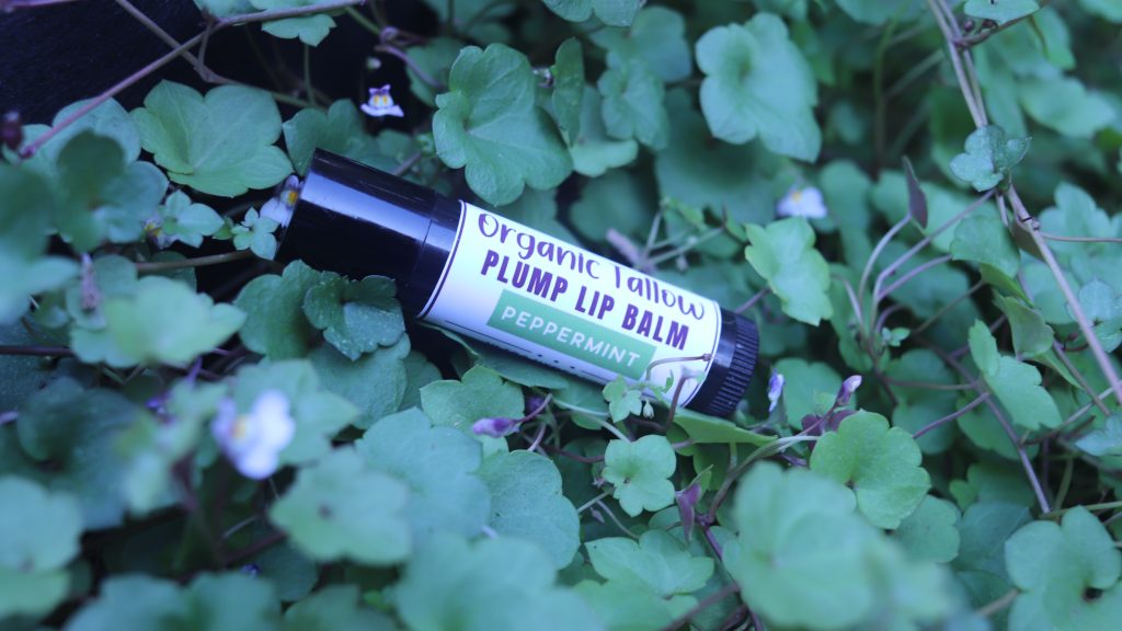 Organic Tallow Plump Lip Balm – Peppermint